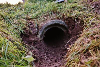 Schwaikheim: Hund bleibt in Bachrohr stecken - spektakulaere Rettung - Feuerwehr muss Wiese aufbaggern